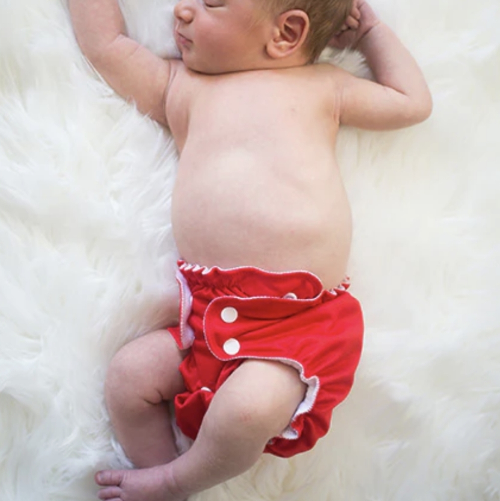 Cover/Pocket Diaper